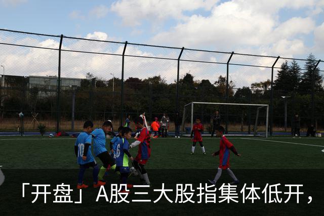 「开盘」A股三大股指集体低开，半导体板块走低