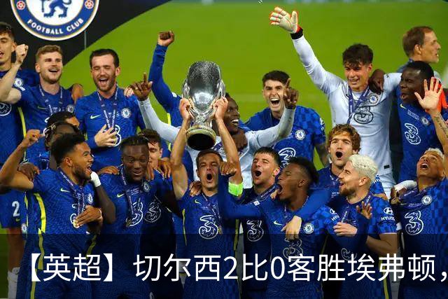 【英超】切尔西2比0客胜埃弗顿，内托双响大马丁伤退