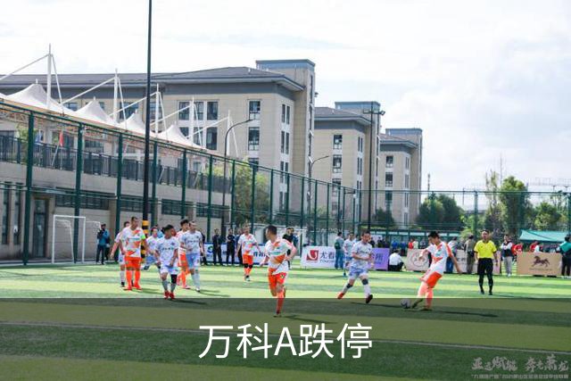 万科A跌停