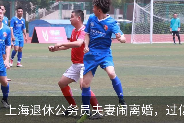 上海退休公务员夫妻闹离婚，过亿家产，把法官看蒙了.......