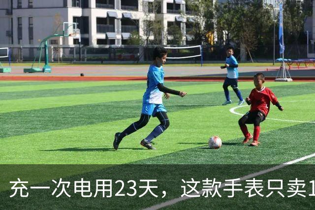 充一次电用23天，这款手表只卖170欧