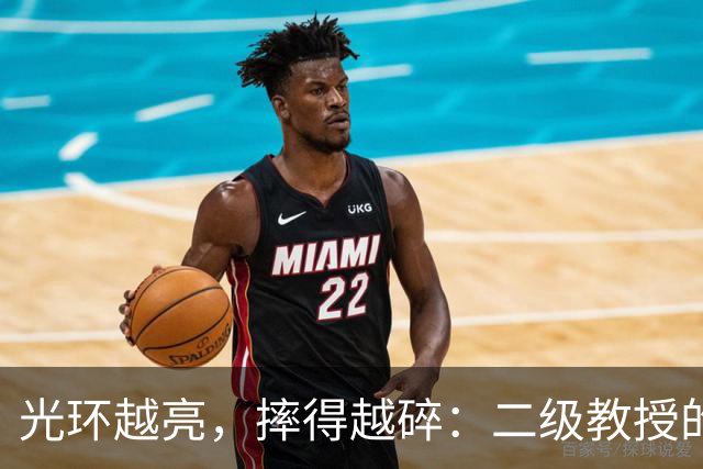 光环越亮，摔得越碎：二级教授的晚节，碎在了“药”和“砖”上
