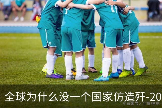 全球为什么没一个国家仿造歼-20，瑞典已破译！