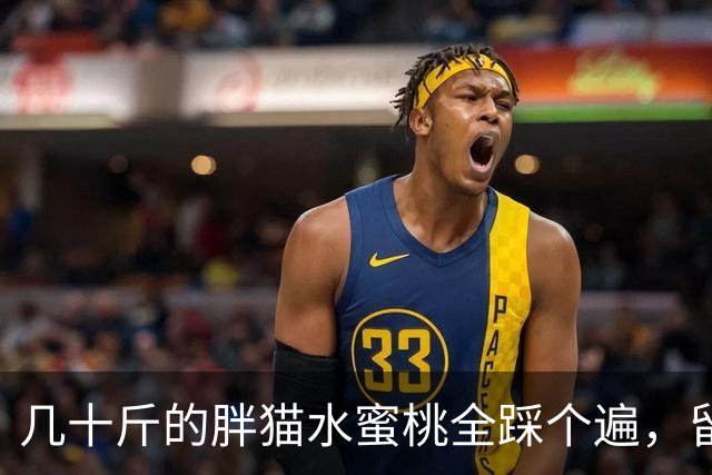 几十斤的胖猫水蜜桃全踩个遍，留下猫脚印，主人：踩桃比踩我还痛！