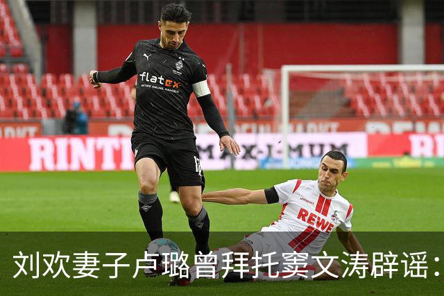 刘欢妻子卢璐曾拜托窦文涛辟谣：媒体说刘欢“没脖子”品味低下，跟刘欢结婚不是对方“丑却有才华”，“人家一开始就是帅哥”