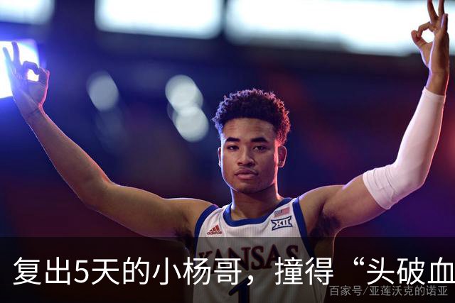 复出5天的小杨哥，撞得“头破血流”