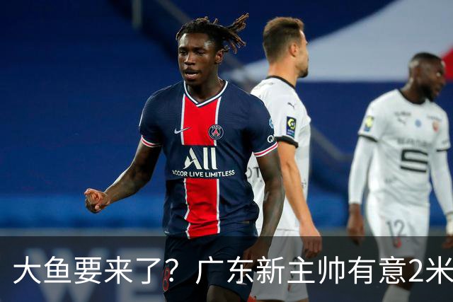 大鱼要来了？广东新主帅有意2米13欧洲中锋，保底能进总决赛了