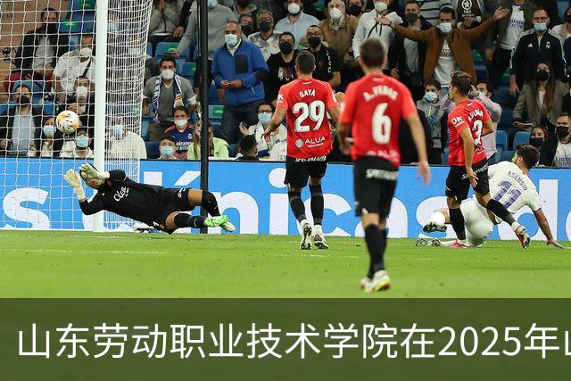 山东劳动职业技术学院在2025年山东省“省长杯”大学生足球超级联赛中获佳绩