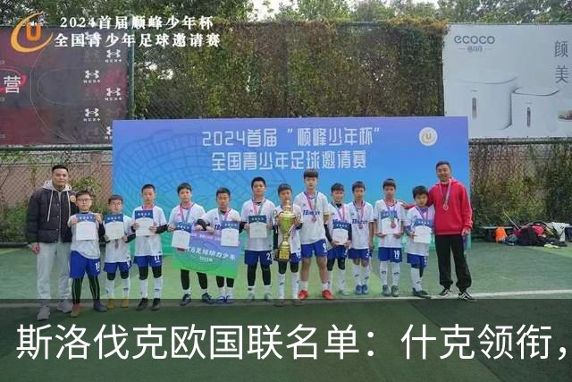 斯洛伐克欧国联名单：什克领衔，杜布拉夫卡、洛博特卡在列