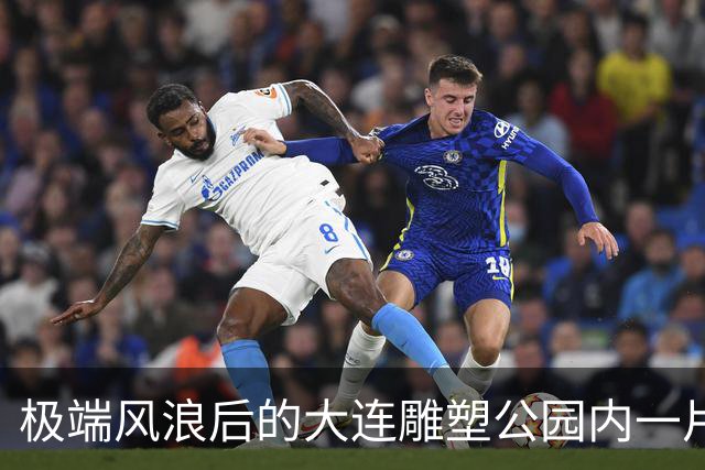 极端风浪后的大连雕塑公园内一片狼藉！维修方案正在审批中