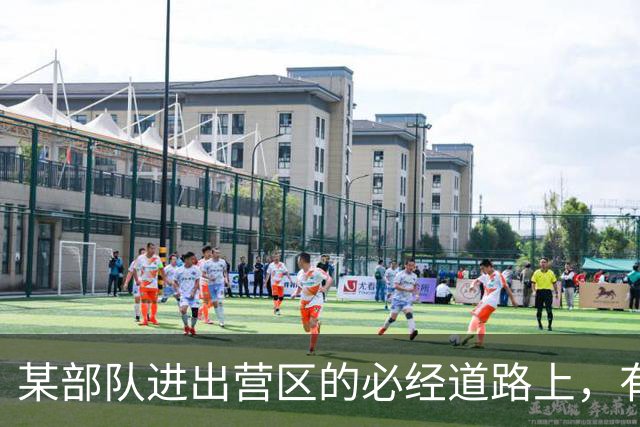 某部队进出营区的必经道路上，有30余只监控摄像头，可拍到部队活动，相关部门采取措施调整固定方向、断网、拆除，消除涉军安全隐患