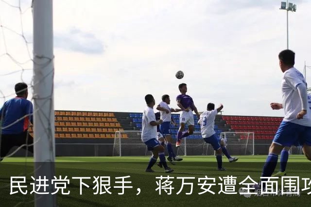 民进党下狠手，蒋万安遭全面围攻，一旦选输，郑丽文就要被算账？