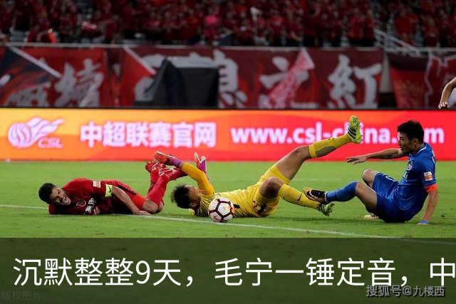 沉默整整9天，毛宁一锤定音，中美战机已交手，美方要见中国代表