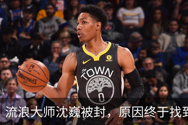流浪大师沈巍被封，原因终于找到了