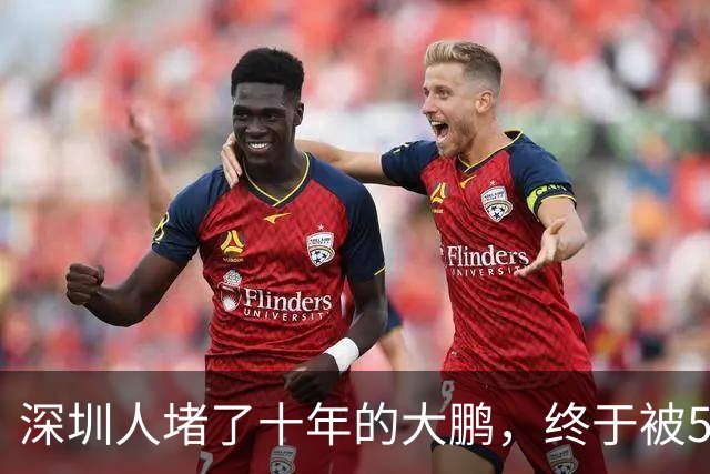 深圳人堵了十年的大鹏，终于被5.9公里的隧道“缝”好了