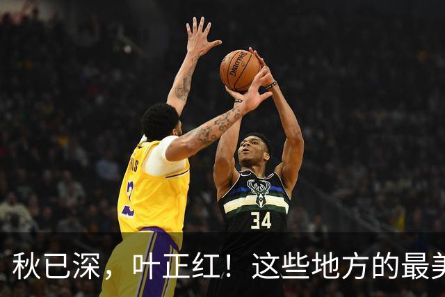 秋已深，叶正红！这些地方的最美秋色已上线→
