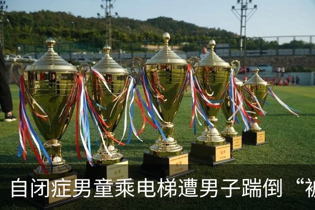 自闭症男童乘电梯遭男子踹倒“被踹后自己躲起来”