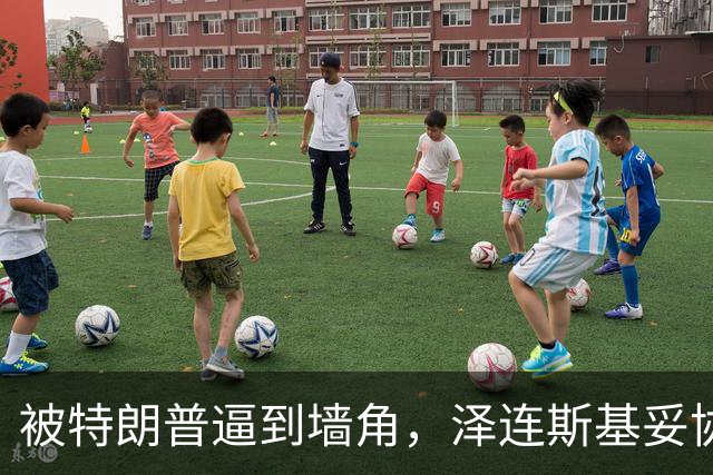 被特朗普逼到墙角，泽连斯基妥协，请求普京给自己60天时间