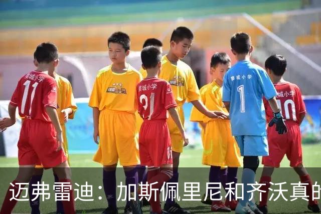 迈弗雷迪：加斯佩里尼和齐沃真的让我感到兴奋。我更看好前者