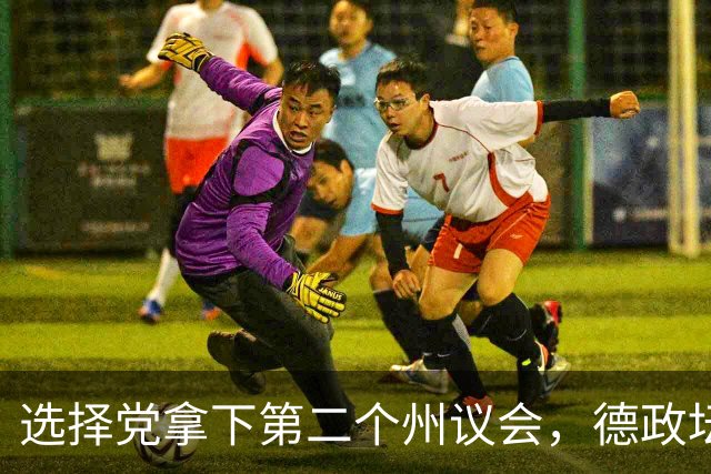 选择党拿下第二个州议会，德政坛“防火墙”缘何失灵