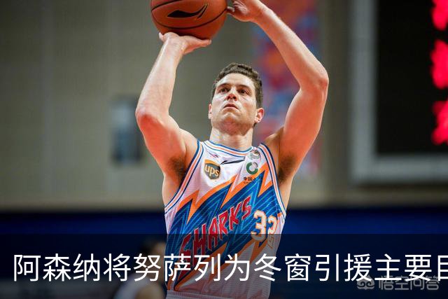 阿森纳将努萨列为冬窗引援主要目标