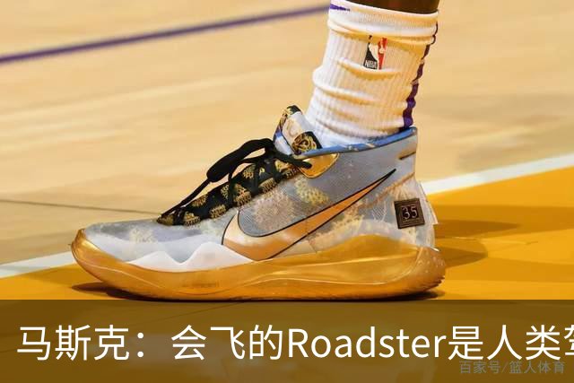 马斯克：会飞的Roadster是人类驾驶最后的巅峰