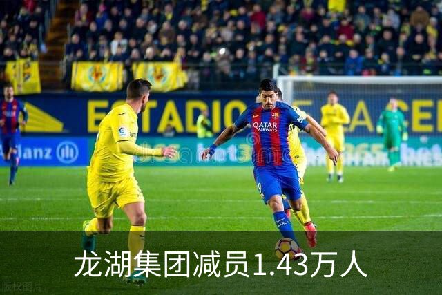 龙湖集团减员1.43万人