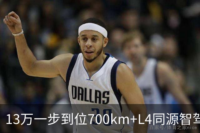 13万一步到位700km+L4同源智驾